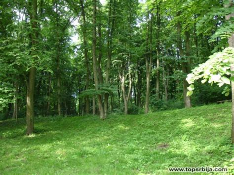 Erdevik, najlepše mesto u Sremu