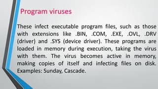 Image result for Computer Virus Program Is Usually Hidden In