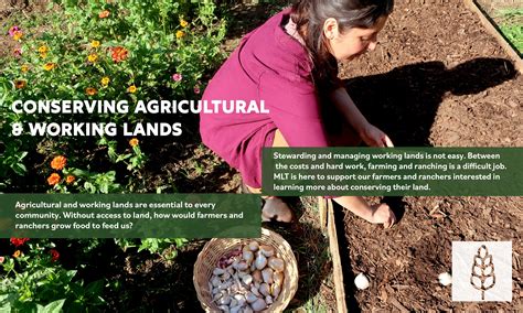 Sustainable Agricultural Lands Conservation - Mendocino Land Trust