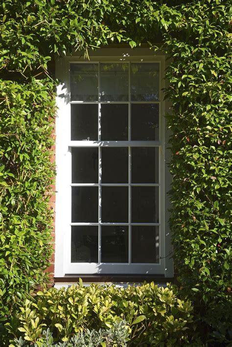 Image result for Timber Sash Windows