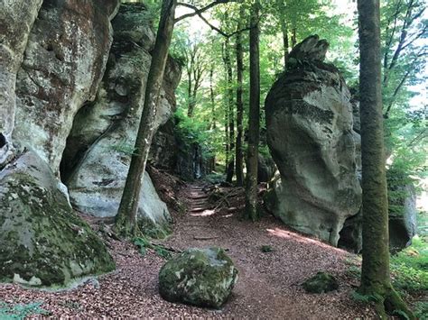 Mullerthal Trail - 2019 What to Know Before You Go (with Photos ...