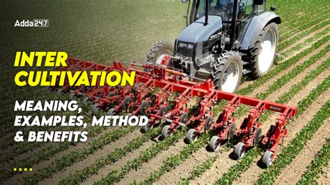 Inter Cultivation: Meaning, Examples, Method and Benefits