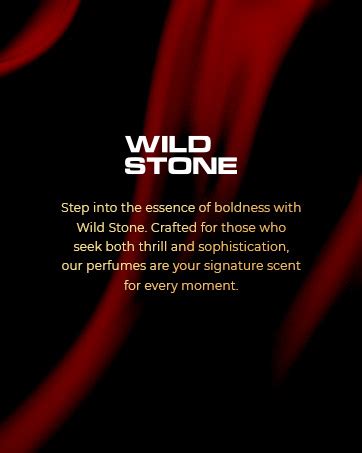 Buy Wild Stone Stone Long Lasting Perfume Body Spray For Men, Pack Of 2 ...