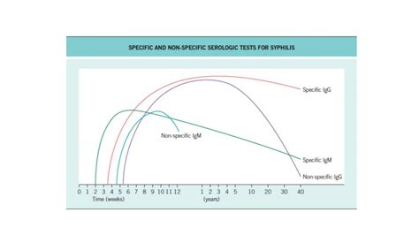 Image result for Syphilis Lab Test Interpretation