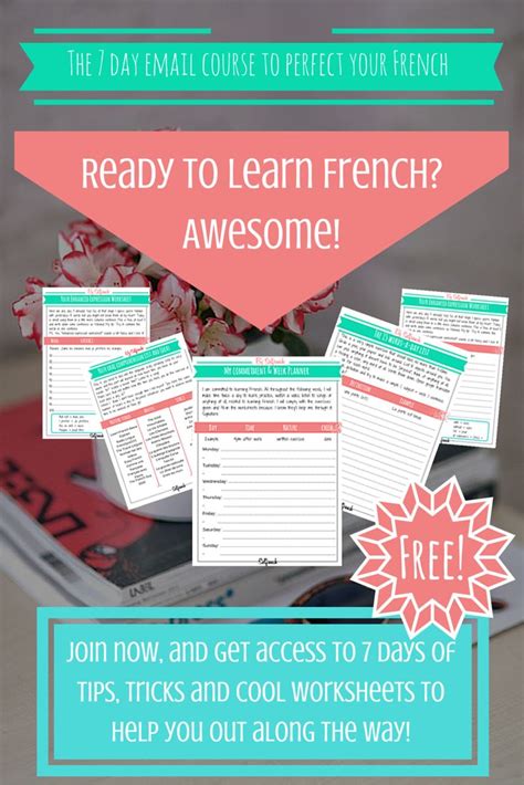 Image result for Basic French Lesson