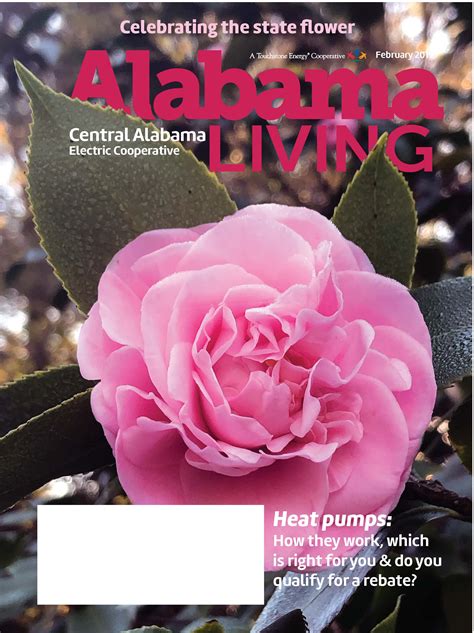 2019 Archives - Central Alabama Electric Cooperative