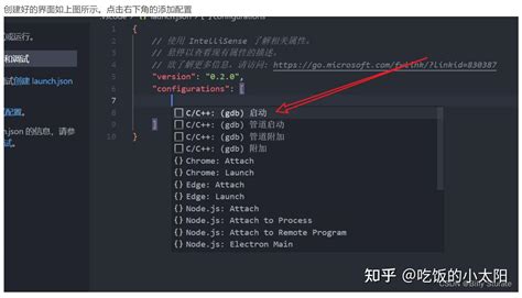 Setting JSON CMake Vscode 的图像结果