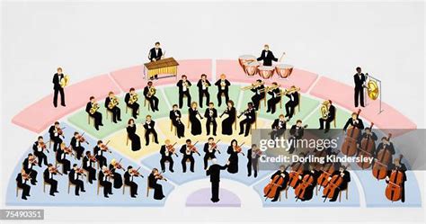 String Section Orchestra 的图像结果