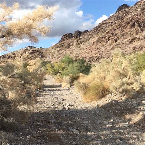 KOFA NATIONAL WILDLIFE REFUGE - All You Need to Know BEFORE You Go 2026 ...