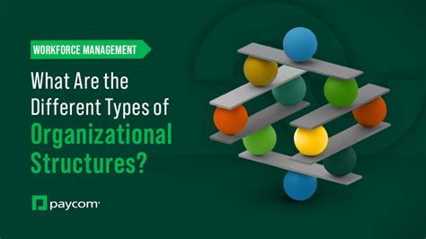 Organisational Structures Types 的图像结果