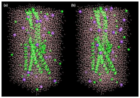 Enhancing the Antipsychotic Effect of Risperidone by Increasing Its ...