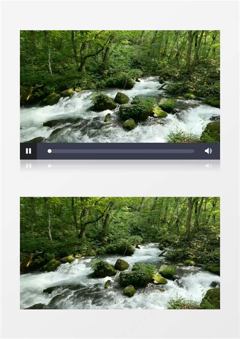 视频背景_森林树林流水河流背景视频素材模板下载_图客巴巴