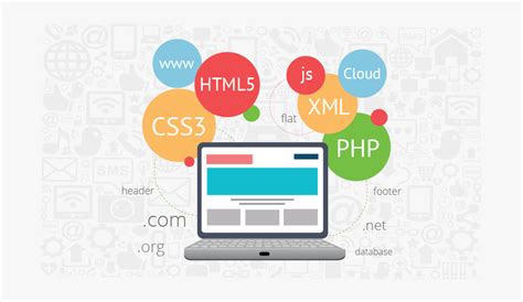 Image result for Web Developer PNG