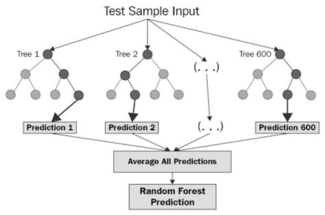 Image result for How to Perform Cross-Validation Random Forest Python