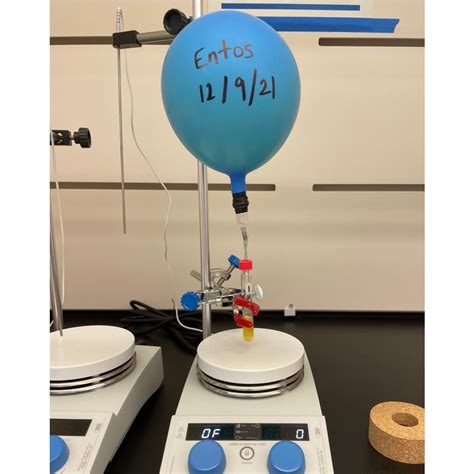 Iambic Office Photos