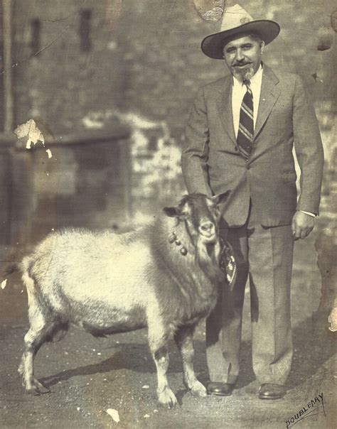 The Story of the Original Billy Goat - The World-Famous Billy Goat Tavern