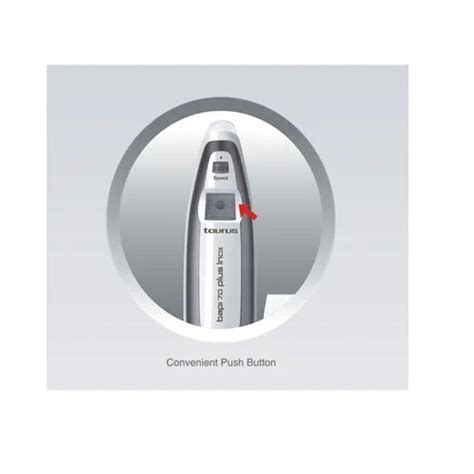 Inalsa White / Grey Spray Painted Bapi 7.0 Plus Inox 600W Hand Blender ...