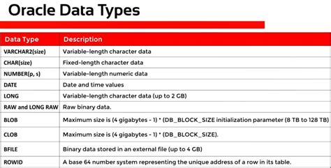 Image result for Oracle Data Types with Examples