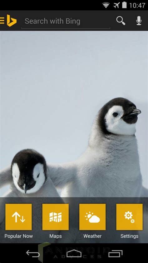 Bing Android Video Full Screen 的图像结果