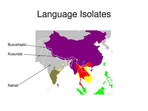 Image result for Language Isolates