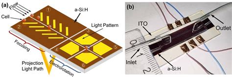 Microfluidic Chip 的图像结果