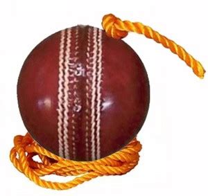L'AVENIR Cricket Bat Knocking / Practice / Hanging Ball Cricket ...