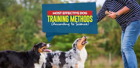 Image result for Dog training Methods