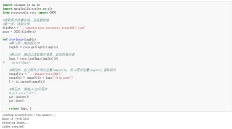 Coco API Installation 的图像结果
