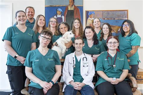 About - Kingsview Animal Hospital