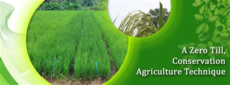 Saguna Rural Foundation :: Saguna Regenerative Technique