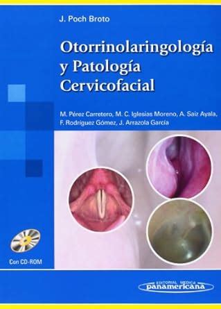 Buy Otorrinolaringologia Y Patologia Cervicofacial/ Otorhinolaryngology ...