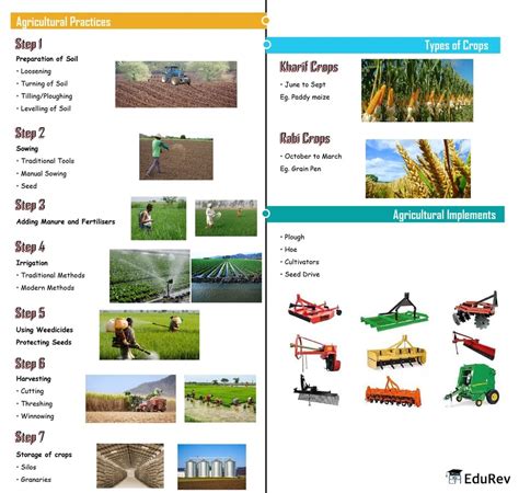 Mindmap: Crops Production and Mangement - Science Class 8 PDF Download