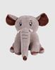 Buy Grey Soft Toys for Toys & Baby Care by Dukiekooky Online | Ajio.com