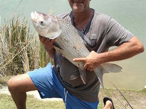 ELTON VIEW FISHING PARK - All You Need to Know BEFORE You Go 2026 (with ...