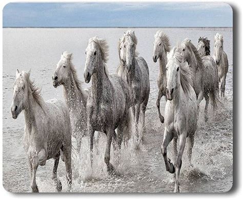 Yellow Alley Vastu Running Horses Mouse pad for Pc/Laptop|Optical ...