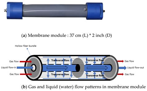 Simulation Model for Prediction of Gas Separation in Membrane Contactor ...