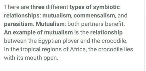 Give three examples of symbiotic relationship seen in nature - Brainly.in