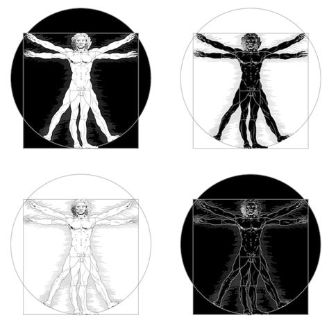 Vitruvian Man Bilder - Kostenloser Download auf Freepik