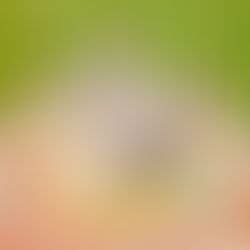 Resources | The ISC Website