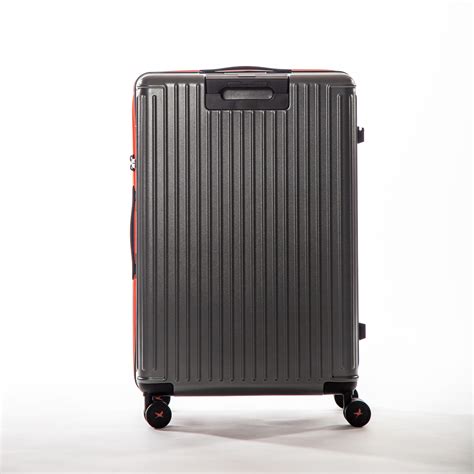 The Arctic Tern - Check-In Medium – BALDORA