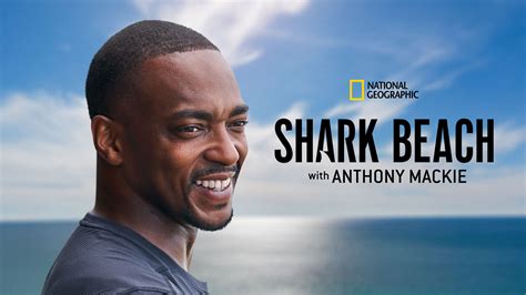 Shark Beach with Anthony Mackie: Gulf Coast 2024 Full Movie Online ...