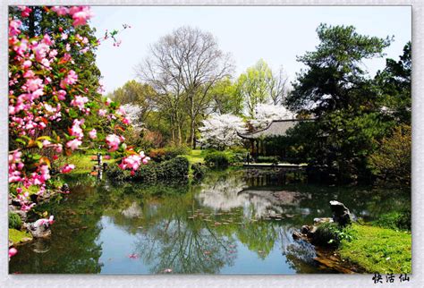 杭州植物园，一个外地游客没有注意到的园林世界和绿色天堂！_时间