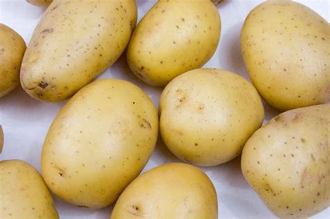 Benefits Of Potato For Babies & The Right Age To Introduce