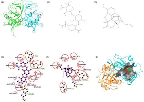 Mycobacterium Time-Series Genome Analysis Identifies AAC2′ as a ...