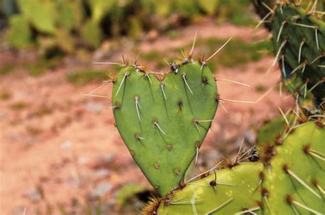 Are you sensitive? – Oleum Cottage
