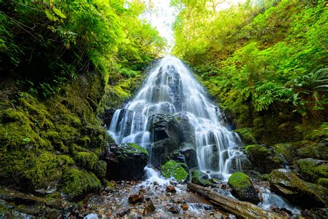 23 Must See Waterfall Hikes Oregon You Can't Miss in 2023