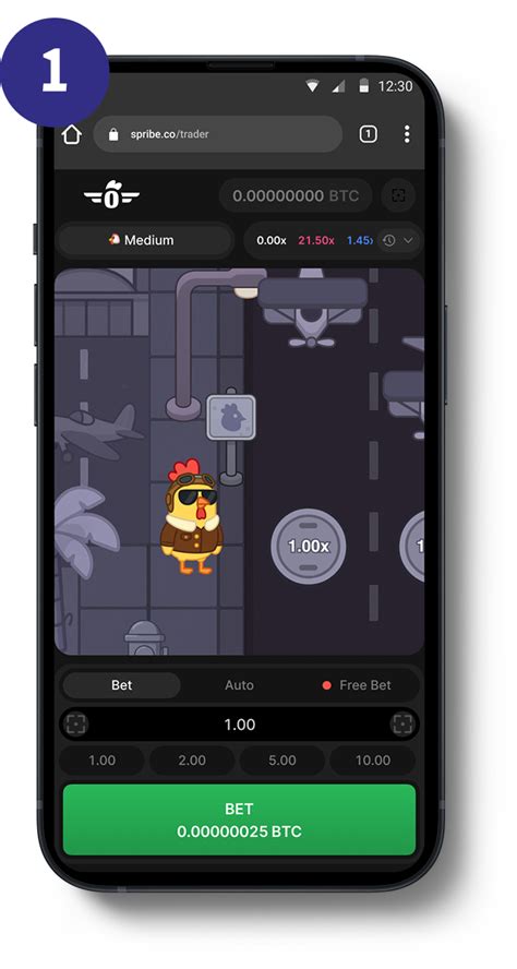 Pilot Chicken Game Guide, Demo, RTP, and Fair Play | Spribe India