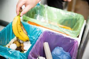 Home composting: essential tips to get started