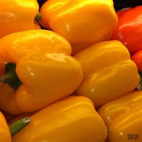 Vegetable Seeds – SK Organic Farms