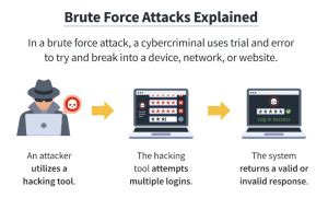 Image result for Brute-force Attack Examples